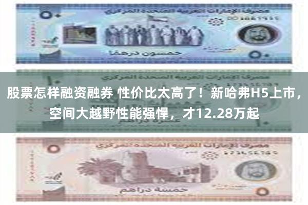 股票怎样融资融券 性价比太高了！新哈弗H5上市，空间大越野性能强悍，才12.28万起