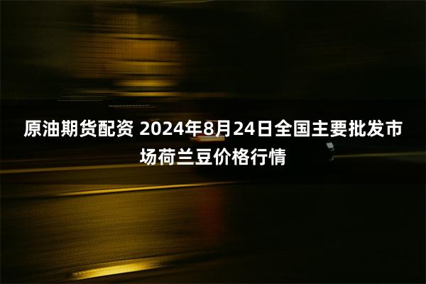 原油期货配资 2024年8月24日全国主要批发市场荷兰豆价格行情