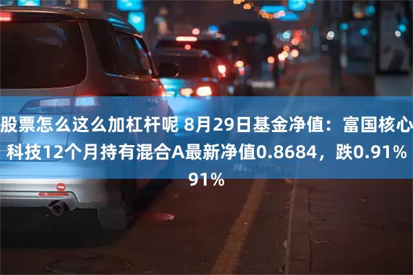 股票怎么这么加杠杆呢 8月29日基金净值：富国核心科技12个月持有混合A最新净值0.8684，跌0.91%