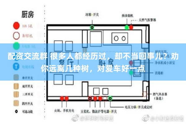 配资交流群 很多人都经历过，却不当回事儿？劝你远离几种树，对爱车好一点