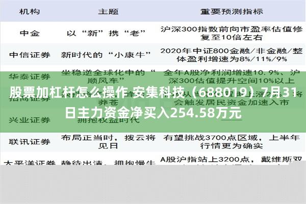 股票加杠杆怎么操作 安集科技（688019）7月31日主力资金净买入254.58万元