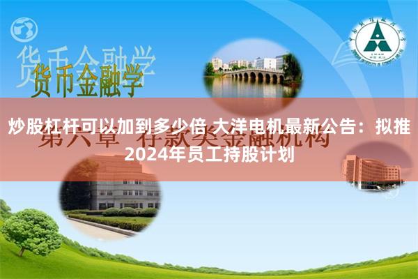 炒股杠杆可以加到多少倍 大洋电机最新公告：拟推2024年员工持股计划