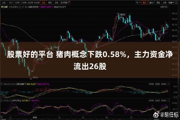 股票好的平台 猪肉概念下跌0.58%，主力资金净流出26股